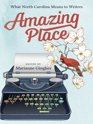cover image of Amazing Place